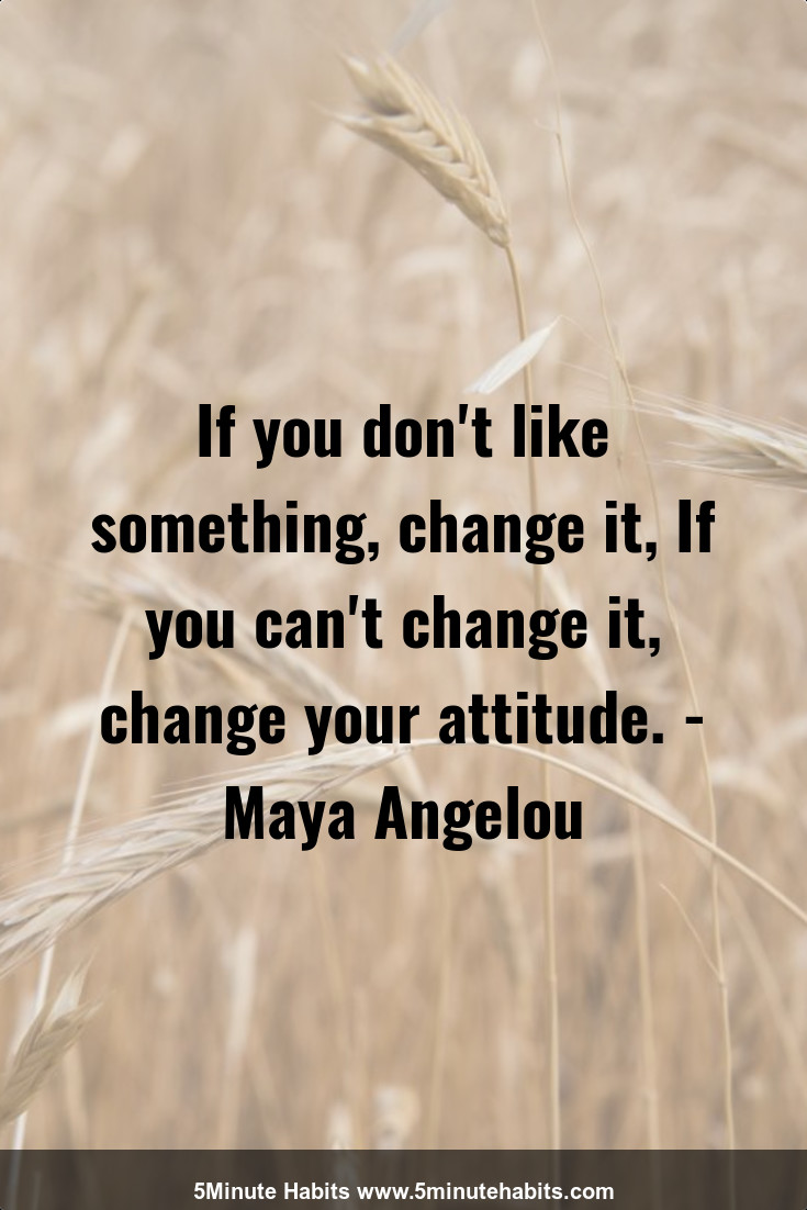 If you don't like something, change it, If you can't change it, change your attitude. - Maya Angelou